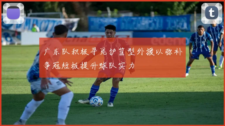 广东队积极寻觅护筐型外援以弥补争冠短板提升球队实力