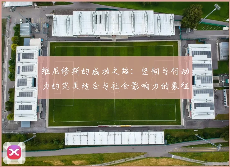维尼修斯的成功之路：坚韧与行动力的完美结合与社会影响力的象征